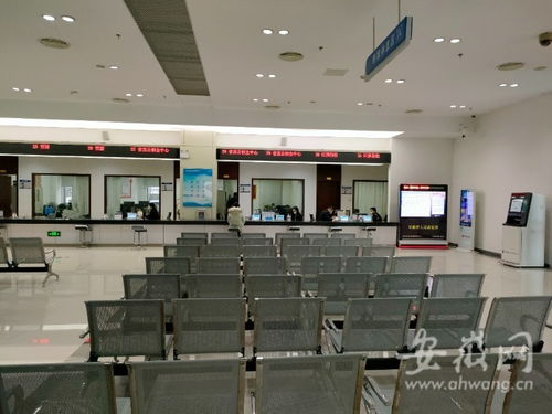 虎年開工首日探訪 安徽省政務(wù)服務(wù)中心窗口人員堅(jiān)守崗位，熱情服務(wù)暖人心